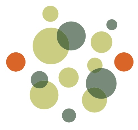 die gruppendynamiker