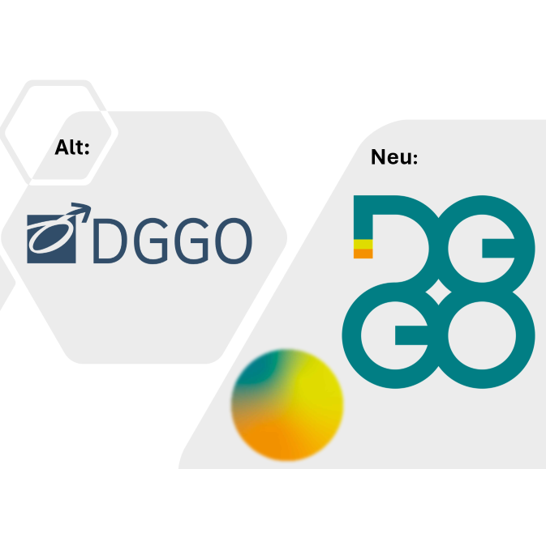 DGGO Rebranding