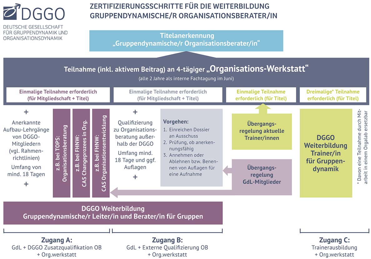 Gruppendynamische/r Organisationsberater/in - schematische Darstellung