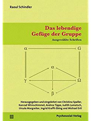 Das lebendige Gefüge der Gruppe - Buchcover