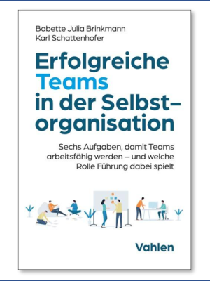 Erfolgreiche Teams in der Selbstorganisation