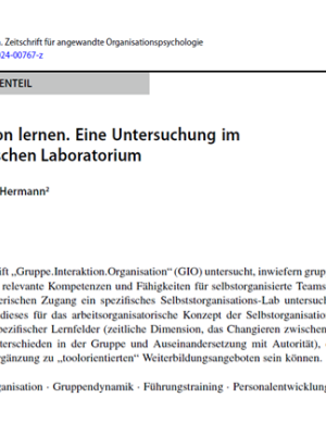 Artikel GIO - Kozica, A. & Hermann, K. - Selbstorganisation lernen